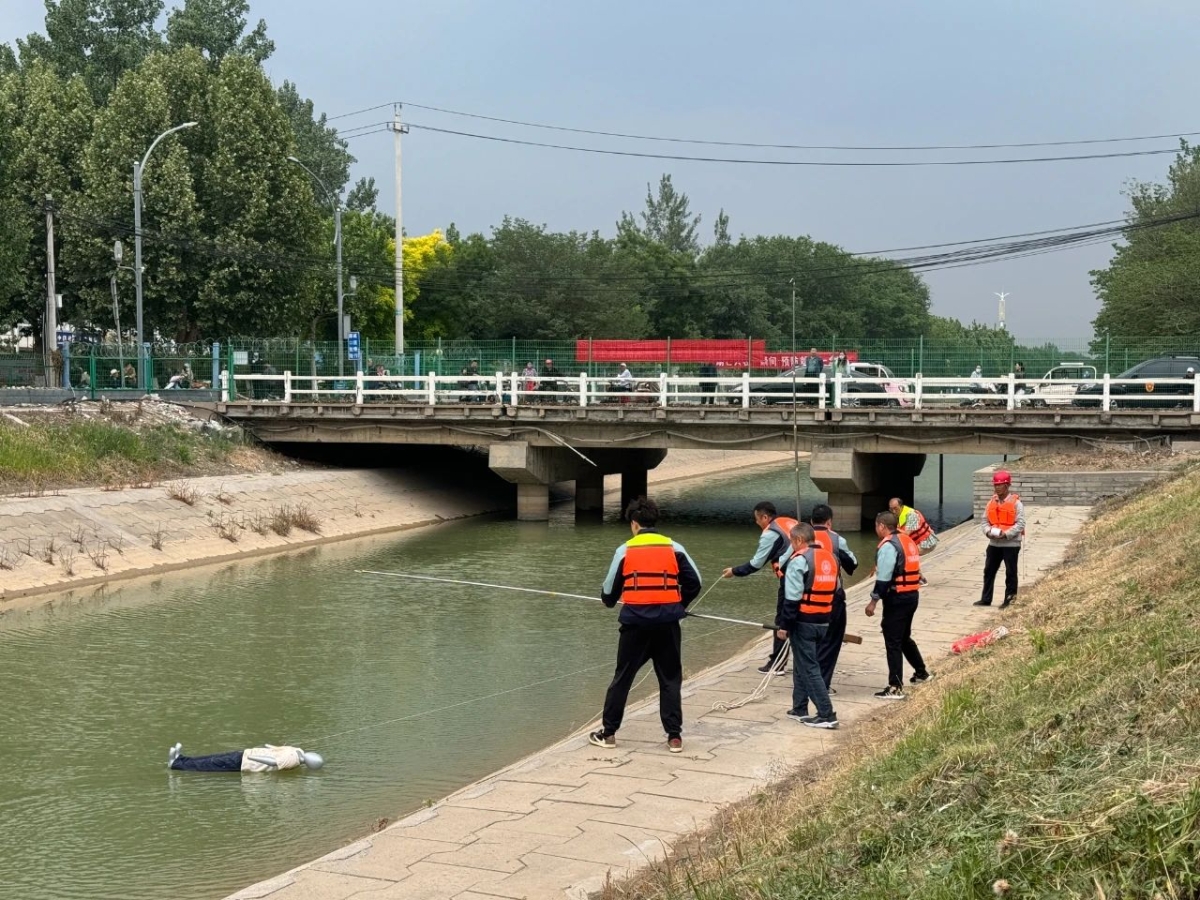 56f3bbcd29a0bf37a9f40e6f0c6e6547